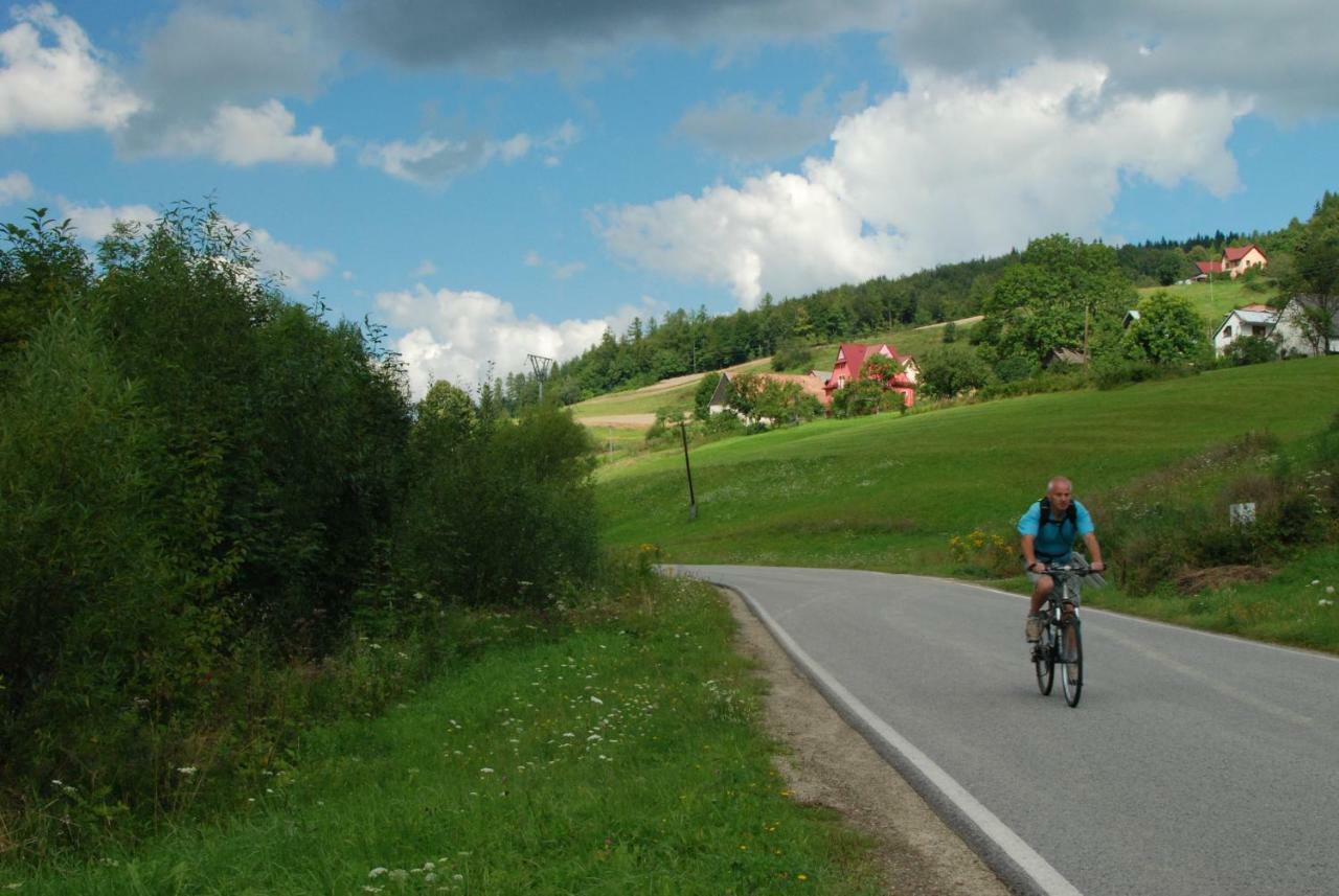 Malinowy Domek Mlynczyska Exterior foto